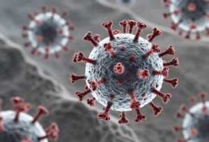 Virus Nipah : risque de confinement